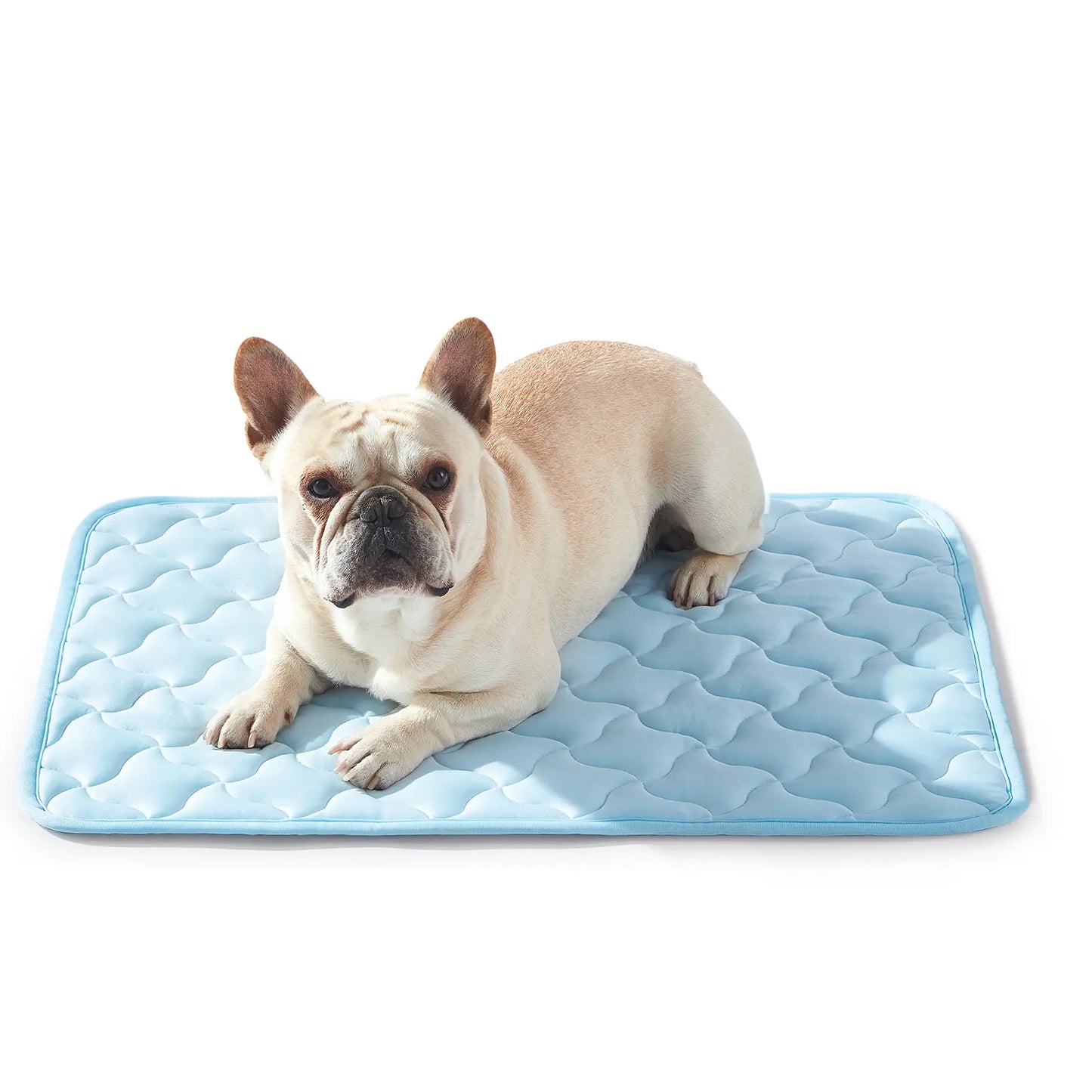 MIXJOY Instant Cooling Mat for Dogs - Ultra-Effective, Snag Resistant & Machine Washable - Perfect for Indoor, Outdoor & Travel Use - Cool Blue #SummerEssentials