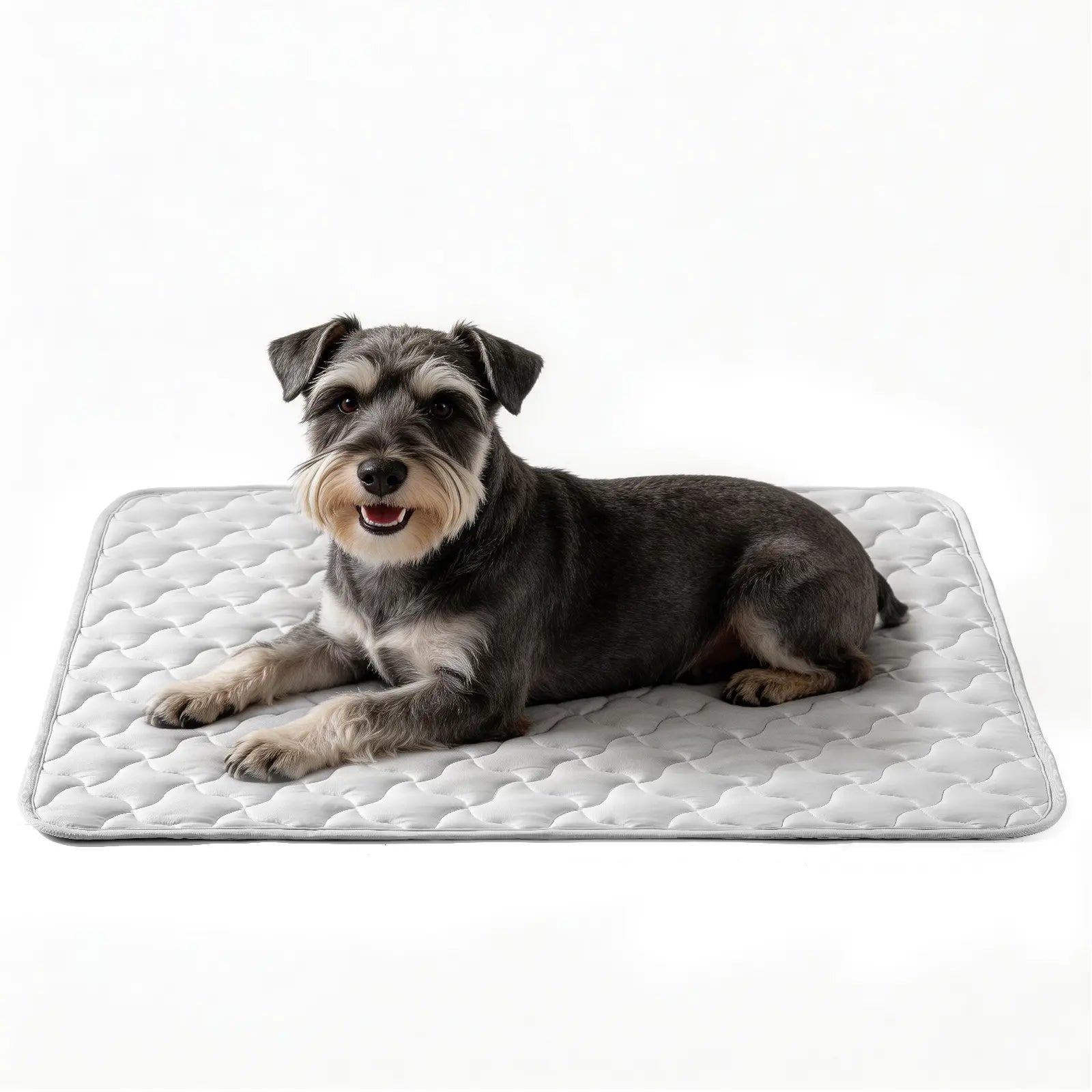 MIXJOY Instant Cooling Mat for Dogs - Ultra-Effective, Snag Resistant & Machine Washable - Perfect for Indoor, Outdoor & Travel Use - Cool Blue #SummerEssentials